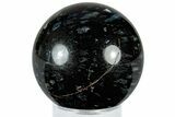 Polished, Black Petrified Palm Root Sphere - Indonesia #308997-1